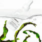 Marine Hyaluronics